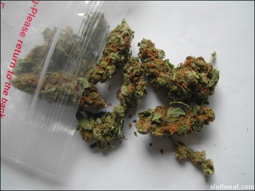 Was My Weed Laced With Pcp Was My Weed Laced With Pcp